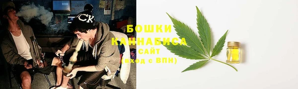 PSILOCYBIN Всеволожск