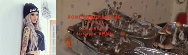 каннабис Покачи