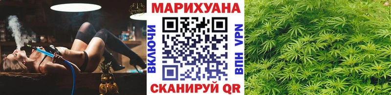 хочу наркоту  Юхнов  Шишки марихуана конопля 
